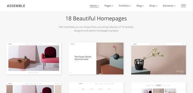Website Designing